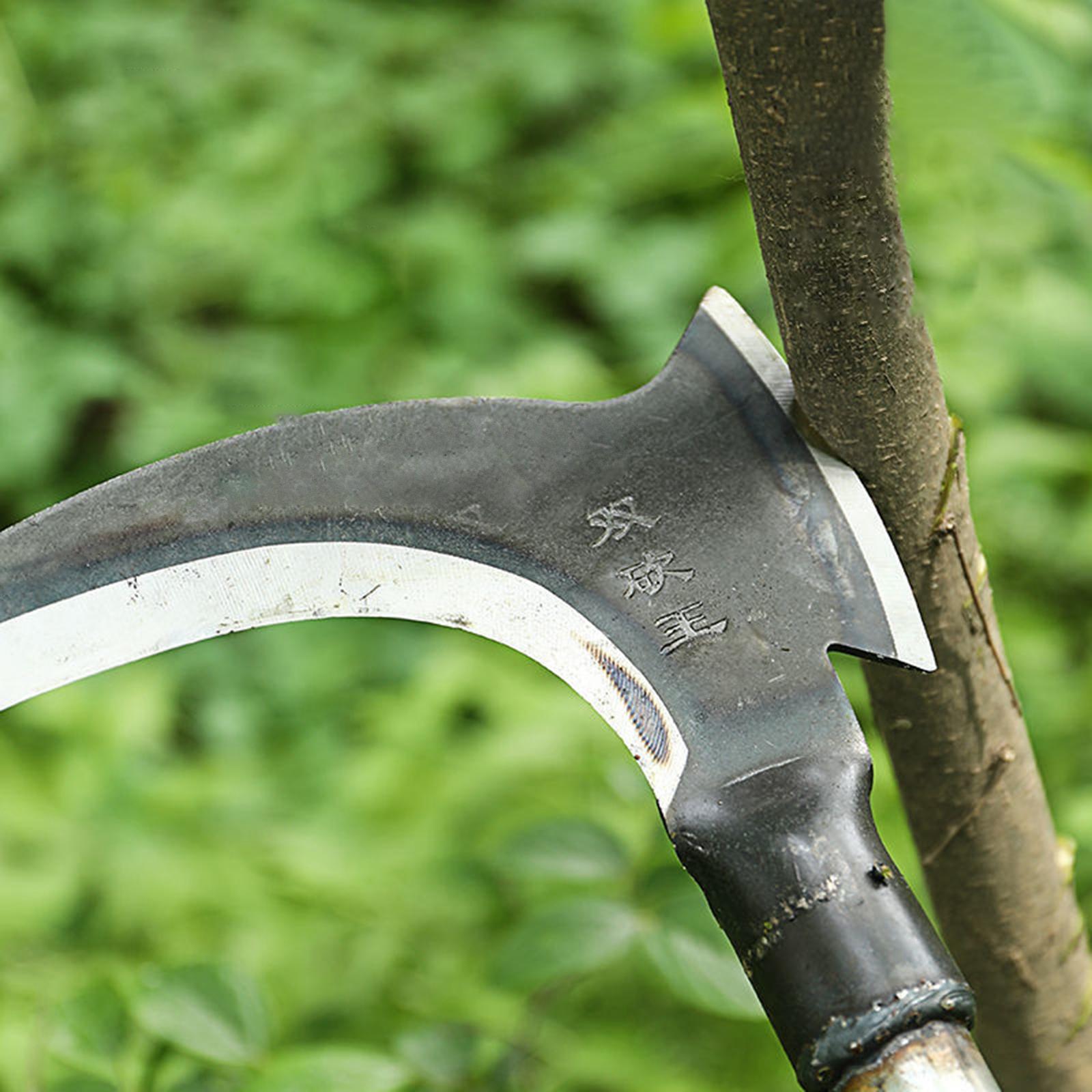 Woodworking Rasp - Ascia da Giardinaggio in Acciaio con