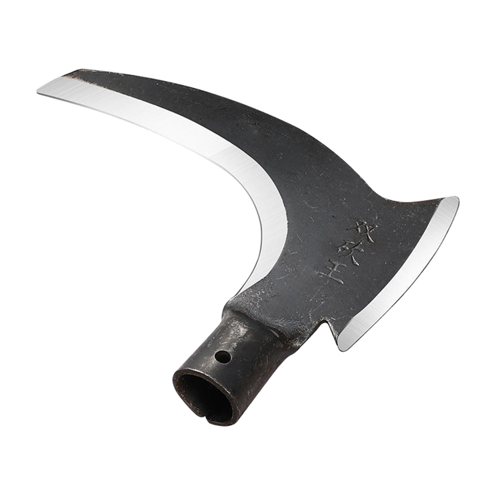 Ascia da Giardinaggio in Accia - Woodworking Rasp recensione e prezzo