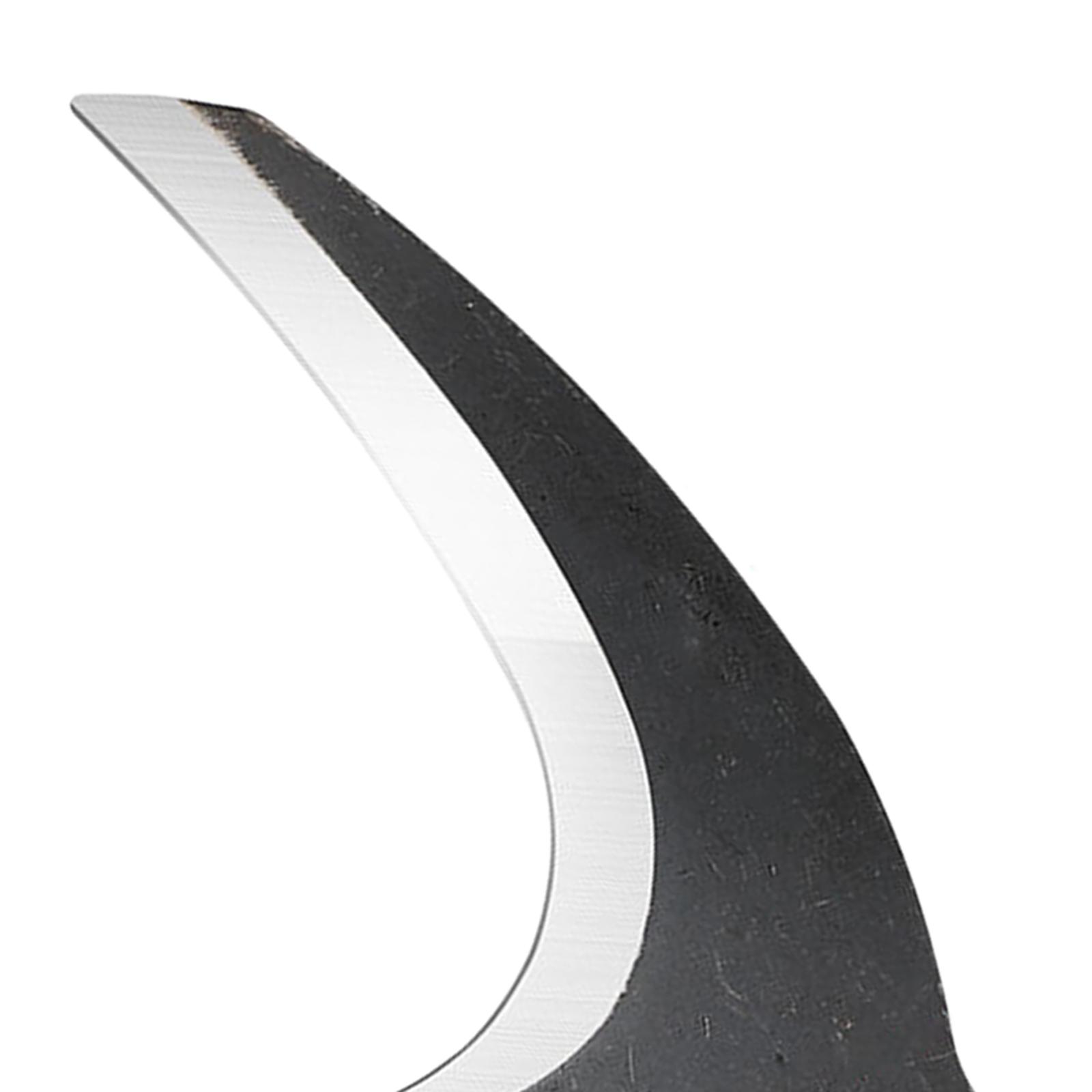 Ascia da Giardinaggio in Accia - Woodworking Rasp recensione e prezzo